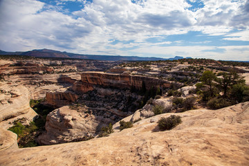Horsecollar Ruins Trail in Natural Bridges National Monuments provides an excellent view of the varied rock strata of the two canyons it passes through