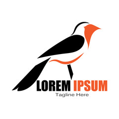 bird logo vector icon design template