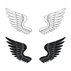 Hand Drawn Wings