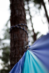 Hammock on tree