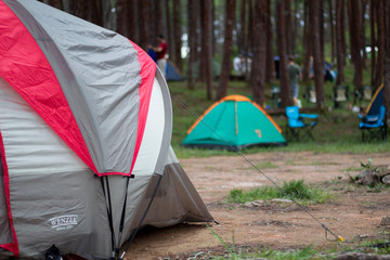 Tent in forest