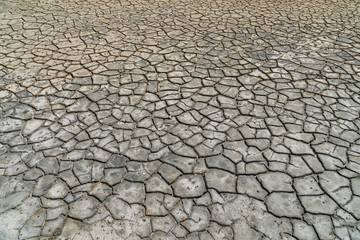 The dry soil of an old salt sea - environmental issue