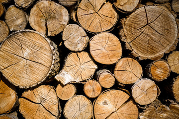 Many wooden logs textured background.