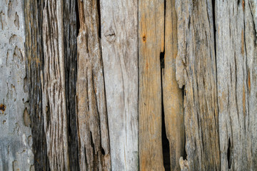 Brown wooden bark texture empty decoration background