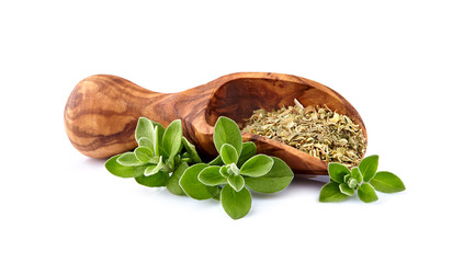 Oregano or marjoram leaves isolated on white background. Oregano fresh and dry.