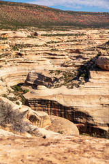 Horsecollar Ruins Trail in Natural Bridges National Monuments provides an excellent view of the...