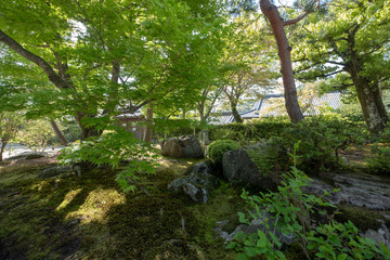 Peaceful Japanese Zen Garden with Pond, Rocks, Gravel and Moss Kyoto Japan