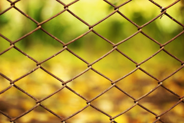 Fototapeta premium Background from a metal mesh. Grid on a background of greenery.