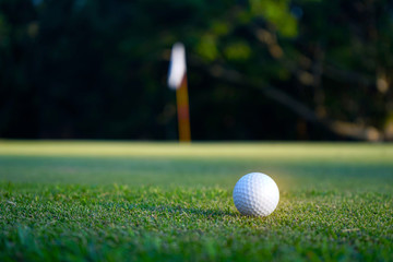 Golf ball on green in beautiful golf course at sunset background.