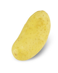 Potato fresh raw material for cooking food isolated on white background. This has clipping path.   
