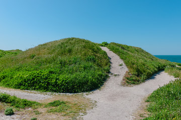 Summer landscape- path on the hill