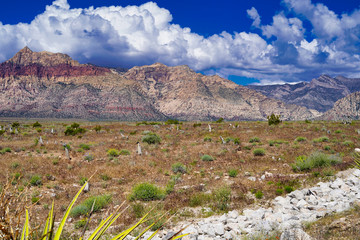 Fototapeta na wymiar Red Rocks, Nevada