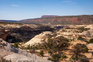 Fototapeta na wymiar Horsecollar Ruins Trail in Natural Bridges National Monuments provides an excellent view of the varied rock strata of the two canyons it passes through