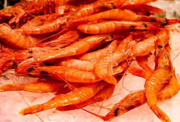 Fresh raw shrimp on ice at the city market