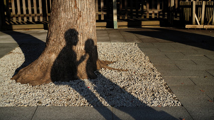 Silhouette of a man and a woman shadow casting on the tree. The atmosphere feel warm and loving.