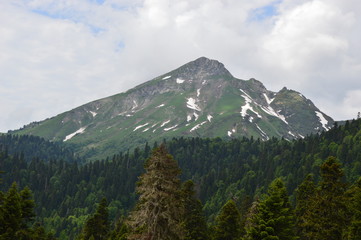 Caucas mountain with deep forest