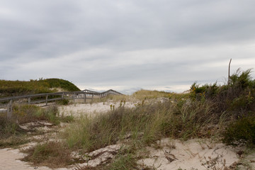 State Parks are a great resource to be able to compare areas more rustic to those perhaps overused by people. This Island State Beach park at the New Jersey shore was beautifully natural with silky sa