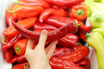 Pepper in hand on a background of a vegetable shelf