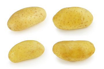 Potato fresh raw material for cooking food isolated on white background. This has clipping path.   