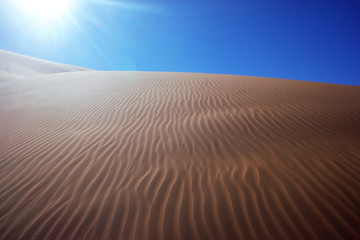 sand dunes in the desert