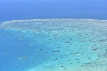 グレートバリアリーフ