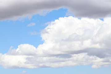Vida flotante