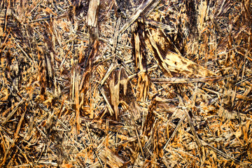 Decorated wood chipboard. Imitation of an old tree. Rough surface. Concept for design of the old surface.