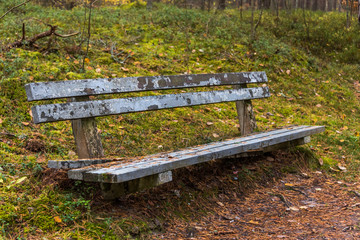 Naklejka premium Old Broken Wooden Bench in a Forest