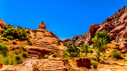 Hiker sitting on top of a rock at Trail in Red Rock Canyon National Conservation Area near Las Vegas, Nevada, United States