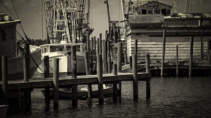 Docked commercial fishing boats