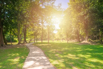 Foto op Plexiglas Nieuw pad en prachtige bomenbaan om te hardlopen of wandelen en fietsen ontspannen in het park op groen grasveld aan de zijkant van de golfbaan. Zonlicht en flare achtergrond concept. © BBbirdZ