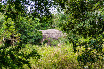 Monolith in Vessagiriya, Anuradhapura