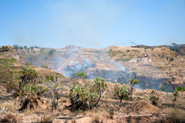 écobuage, feu de brousse, Majunga, Madagascar