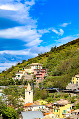 Fototapeta na wymiar Grapes growing on the hillside In Cinque Terre, the Riomaggiore village which is a small village in the Liguria region of Italy.