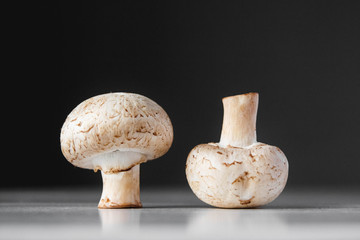 Two mushrooms champignons lie in a row on a white table on a dark background. Place for text or advertising. Design border