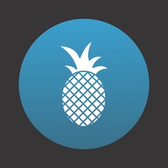 Pine Apple Icon For Your Design,websites and projects.