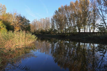 Fototapeta na wymiar Autumn forest reflection in Danube - Tisa - Danube canal.