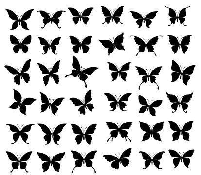 Butterflies and moth. Insect black silhouettes