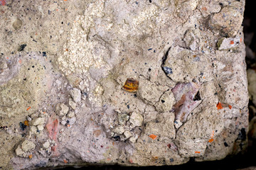 Old concrete texture. Cracks in the texture. Close-up. Old materials. The effect of nature on concrete. The concept of old materials.