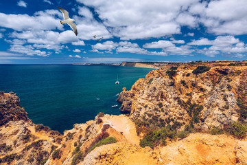 Panoramic view, Ponta da Piedade with seagulls flying over rocks near Lagos in Algarve, Portugal. Cliff rocks, seagulls and tourist boat on sea at Ponta da Piedade, Algarve region, Portugal.