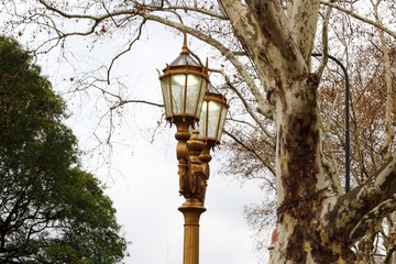 Fototapeta na wymiar old street lamp in park