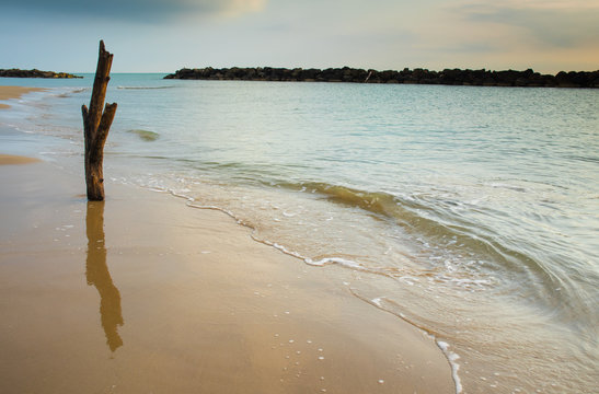 a big trunk stuk in the sand on the water's edge 