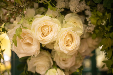 Fototapeta na wymiar Soft cream white bouquet of rose decorating in wedding event