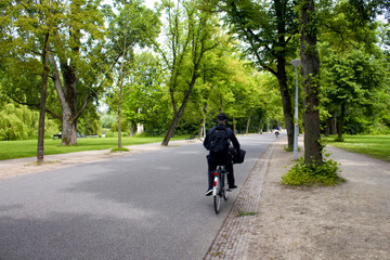 View of man riding bicycle in blurry motion, trees and road at Vondelpark in Amsterdam. It is a public urban park of 47 hectares. It is a summer day.