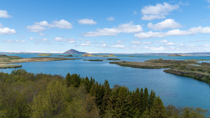 Fototapeta na wymiar Myvatn Lake landscape in Northern Iceland