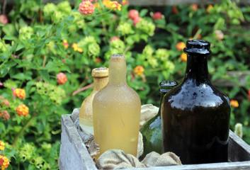 Antique bottles in a flower garden