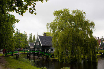 Fototapeta na wymiar View of wooden houses, canal and trees in Zaanse Schans neighborhood in the Dutch town of Zaandam, near Amsterdam. It is a rainy summer day.