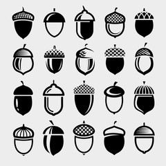 Acorns set. Collection icon acorns. Vector © VKA