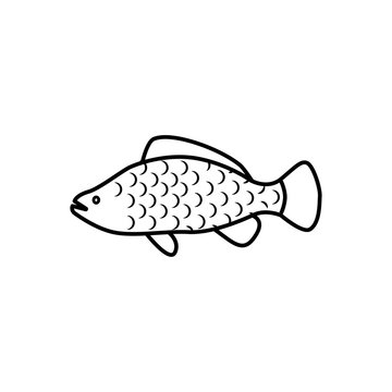 recommend clip art: Snapper icon trendy flat design