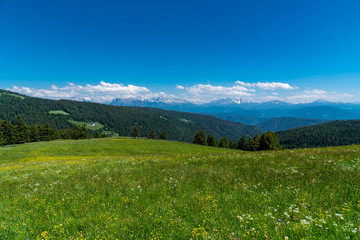 grüne Almwiese mit Fernblick in die Dolomiten Berge